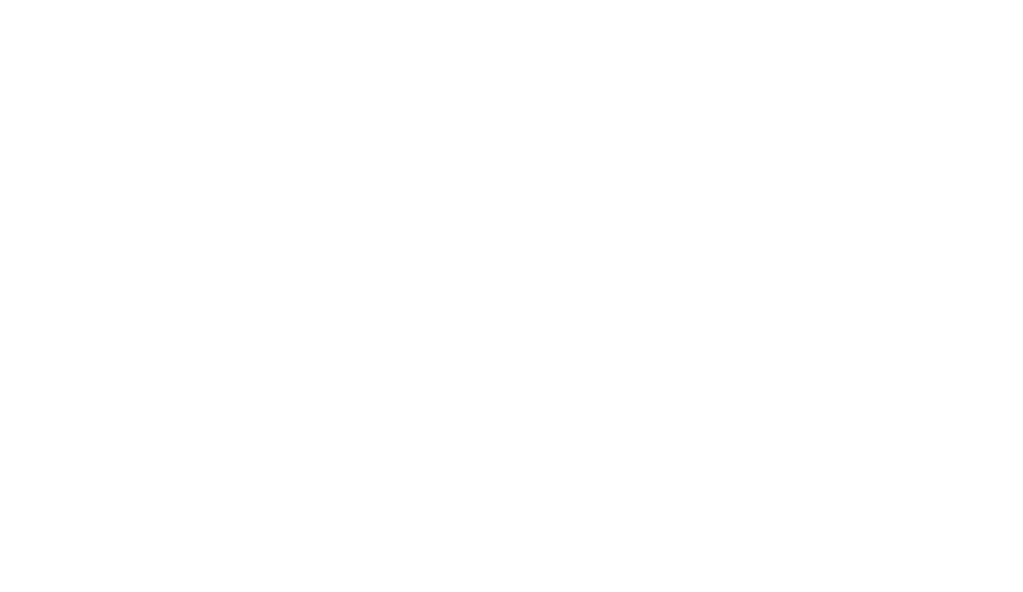 ActionCOACH