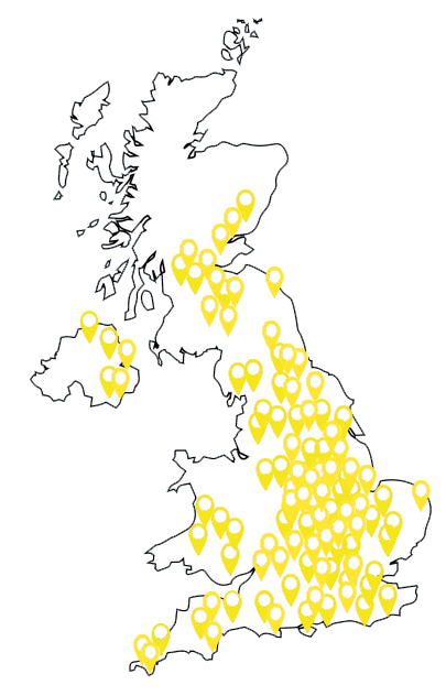 Coach-map-clear yellow Coach-map-clear yellow